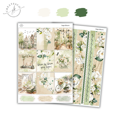 Sage Bloom || OLD FORMAT